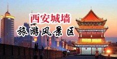 黄色视频日B免费看中国陕西-西安城墙旅游风景区